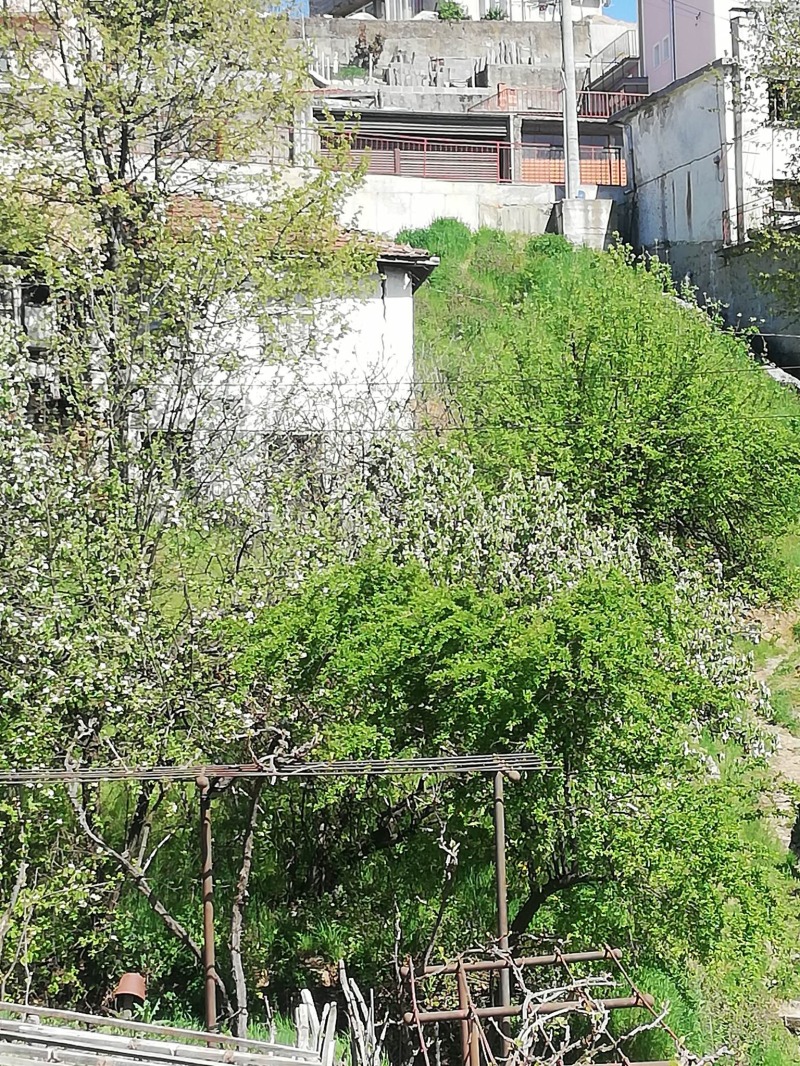 Продава ПАРЦЕЛ, гр. Неделино, област Смолян, снимка 8 - Парцели - 53125486