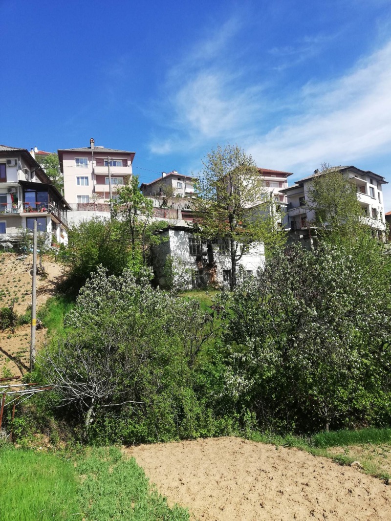 Продава ПАРЦЕЛ, гр. Неделино, област Смолян, снимка 5 - Парцели - 53125486