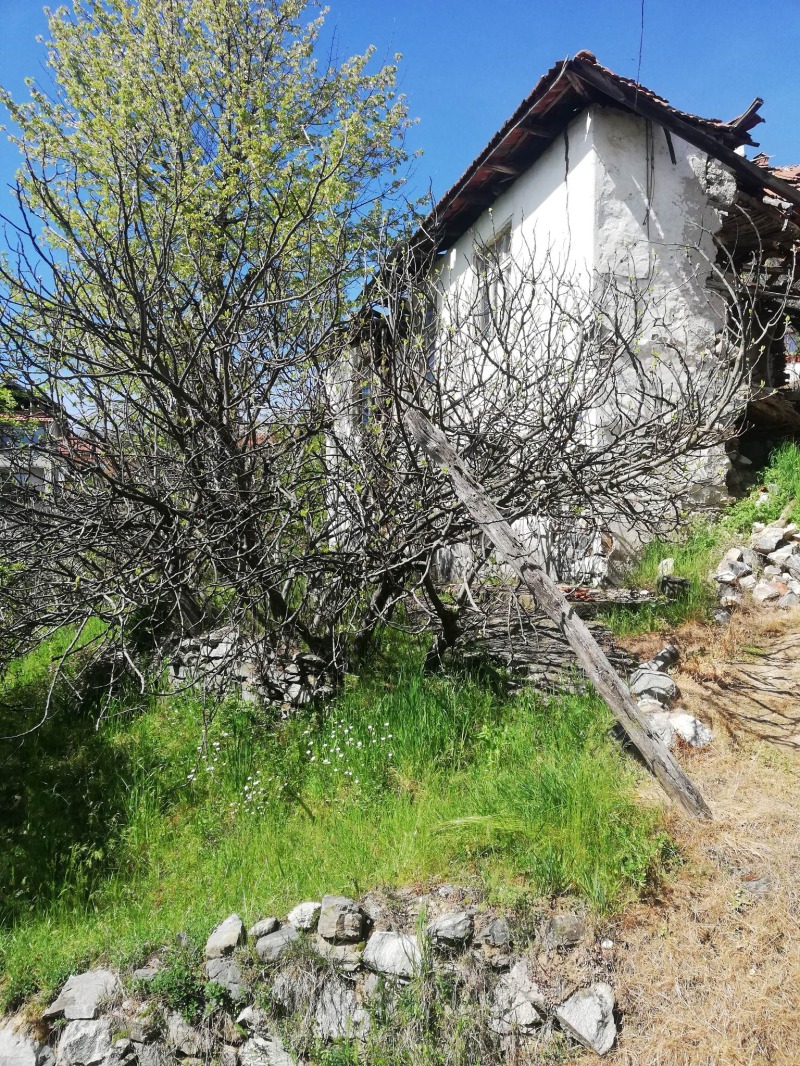 Продава ПАРЦЕЛ, гр. Неделино, област Смолян, снимка 9 - Парцели - 53125486