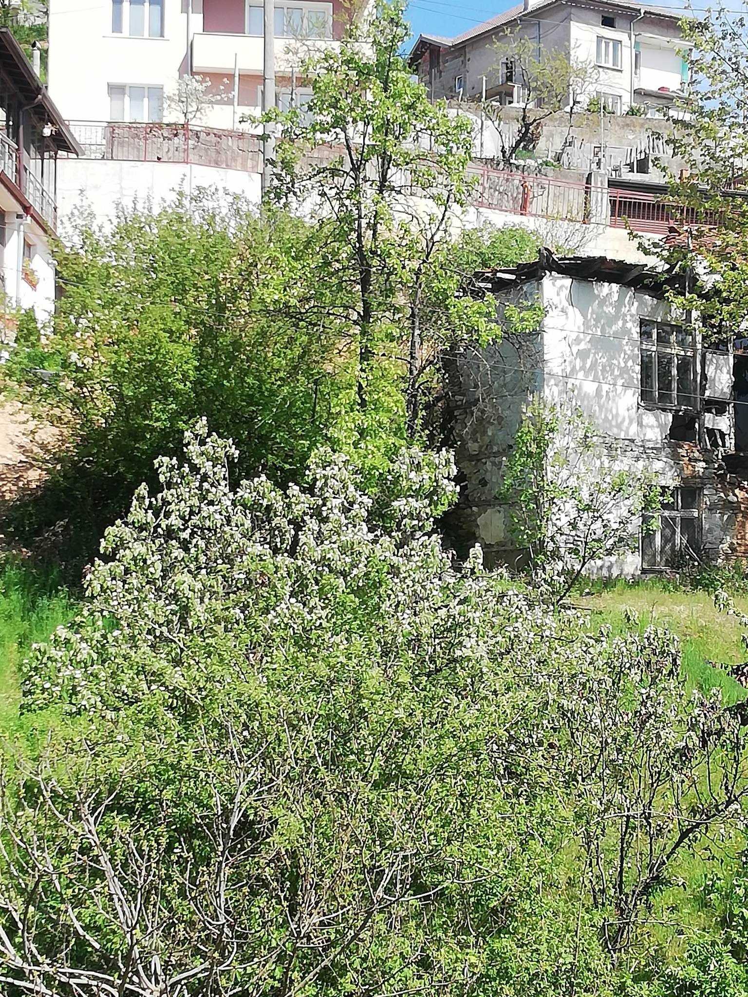 Продава ПАРЦЕЛ, гр. Неделино, област Смолян, снимка 7 - Парцели - 55305274
