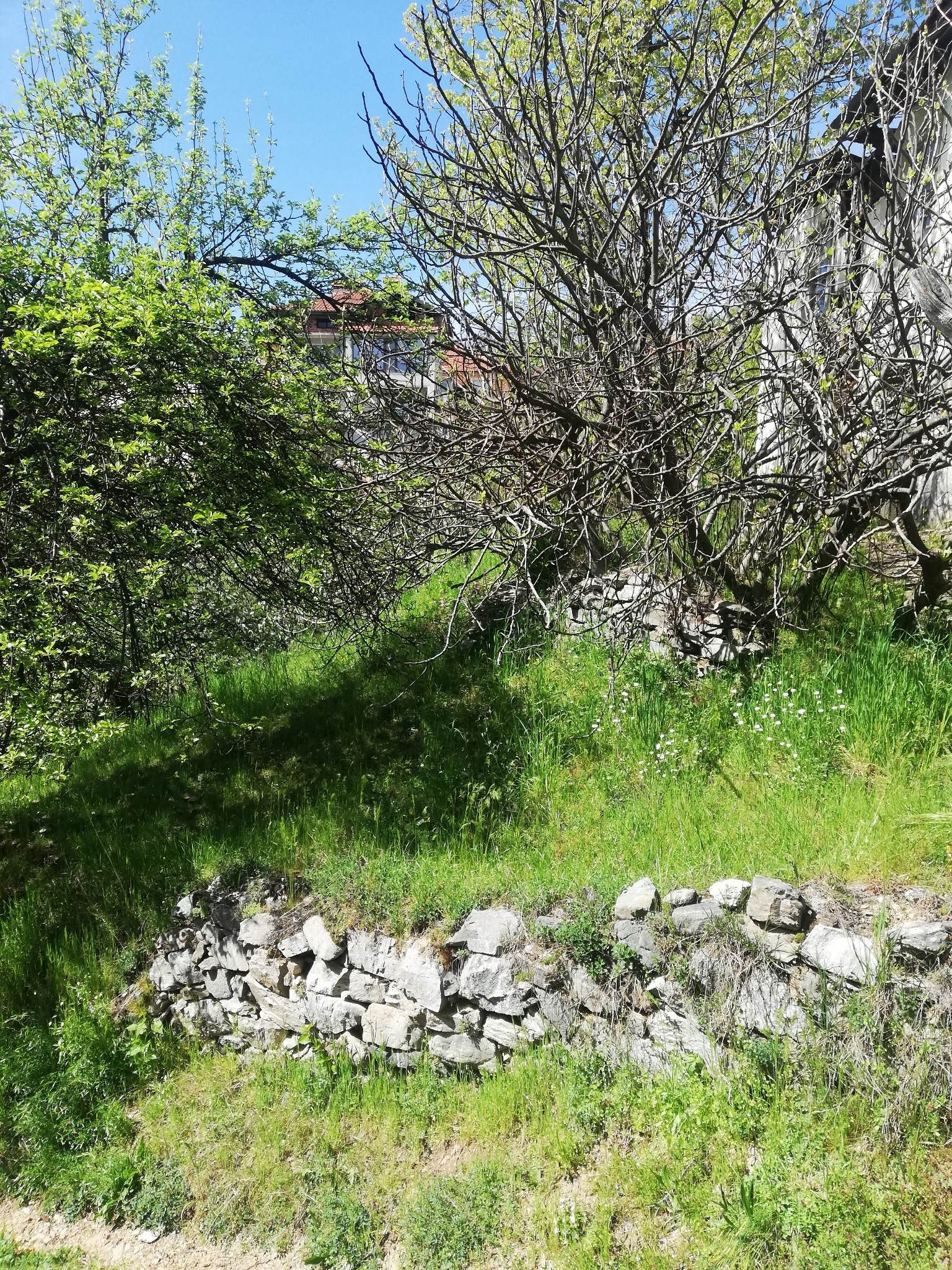 Продава ПАРЦЕЛ, гр. Неделино, област Смолян, снимка 13 - Парцели - 55305274
