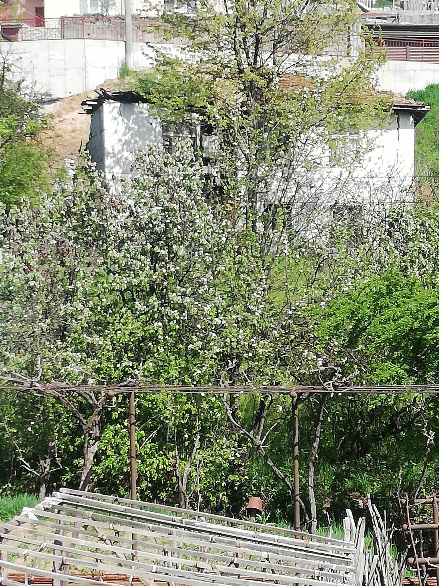 Продава ПАРЦЕЛ, гр. Неделино, област Смолян, снимка 10 - Парцели - 55305274