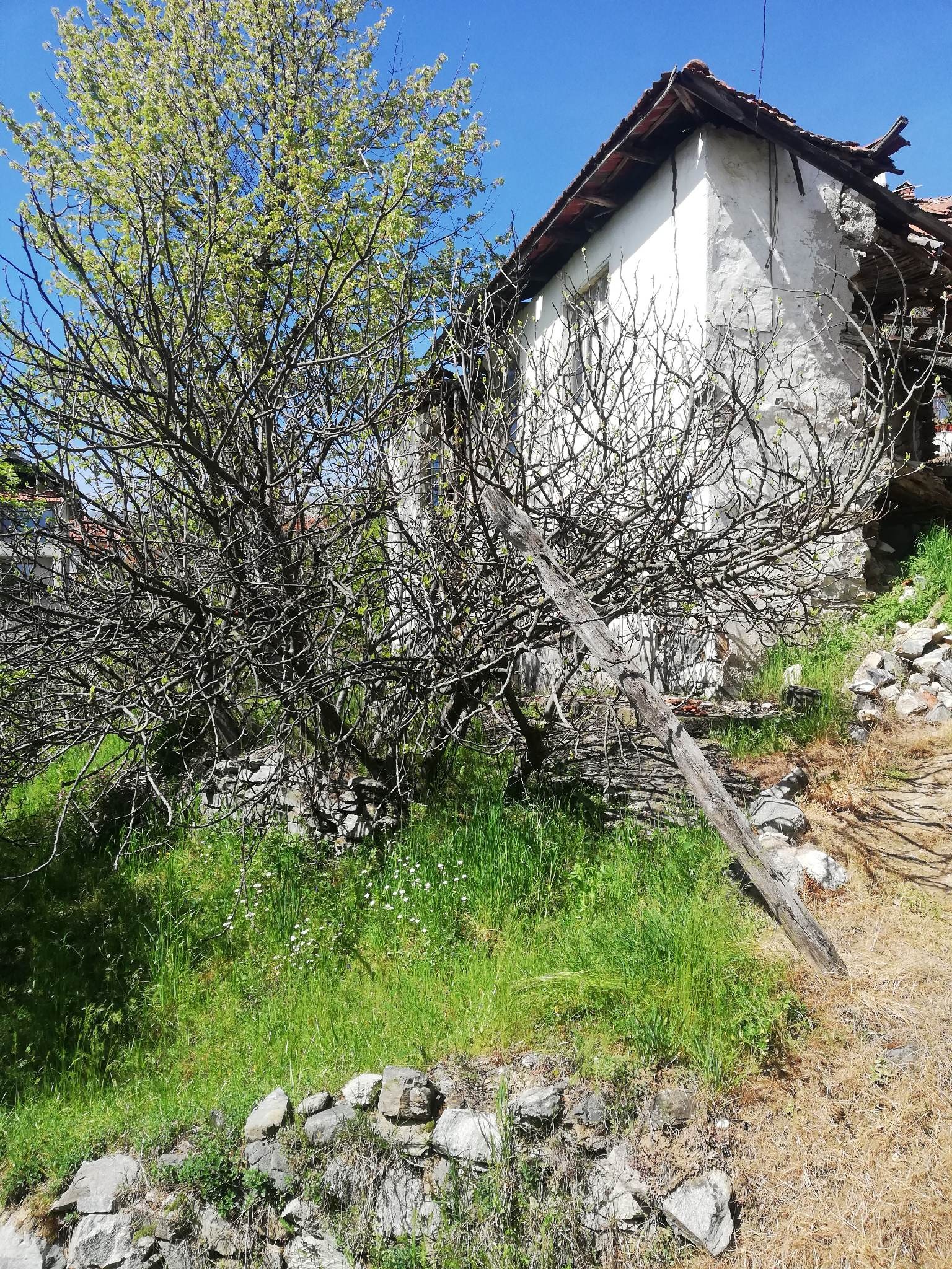 Продава ПАРЦЕЛ, гр. Неделино, област Смолян, снимка 9 - Парцели - 55305274