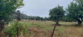 Продава ПАРЦЕЛ, Извън страната, област Извън страната, снимка 2