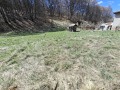 Продава ПАРЦЕЛ, с. Гинци, област София област, снимка 7