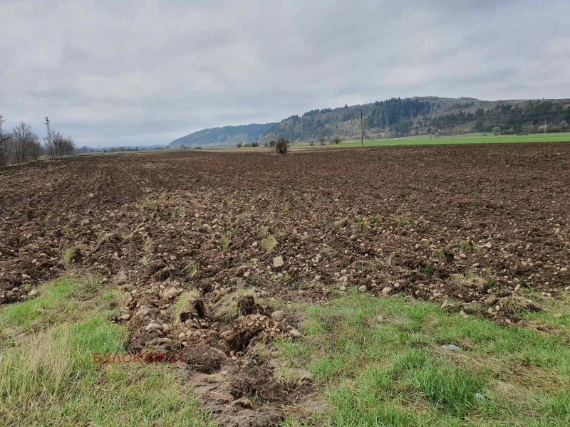 Na prodej  Spiknutí oblast Sofia , Široki dol , 3442 m2 | 13103157 - obraz [2]