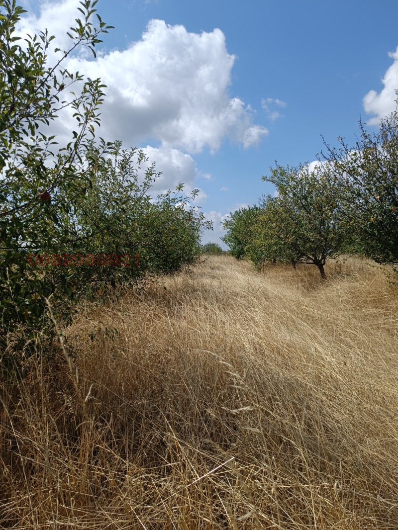 Til salg  Grund region Sofia , Kostinbrod , 1500 kvm | 26731575 - billede [4]