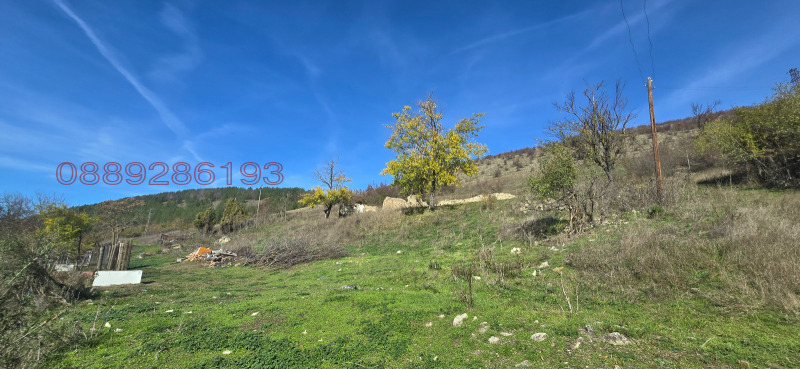 Продава ПАРЦЕЛ, с. Бъзовец, област Русе, снимка 6 - Парцели - 52780437