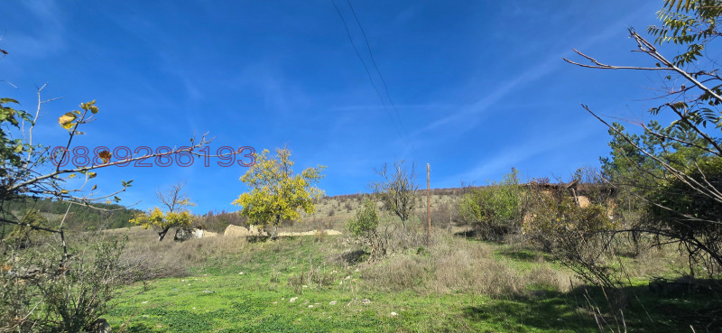 Продава ПАРЦЕЛ, с. Бъзовец, област Русе, снимка 8 - Парцели - 52780437