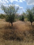 Продава ПАРЦЕЛ, област София, гр. Костинброд • 65500 € • 75142101 — Holmes.bg