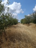 Продава ПАРЦЕЛ, област София, гр. Костинброд • 65500 € • 75142101 — Holmes.bg