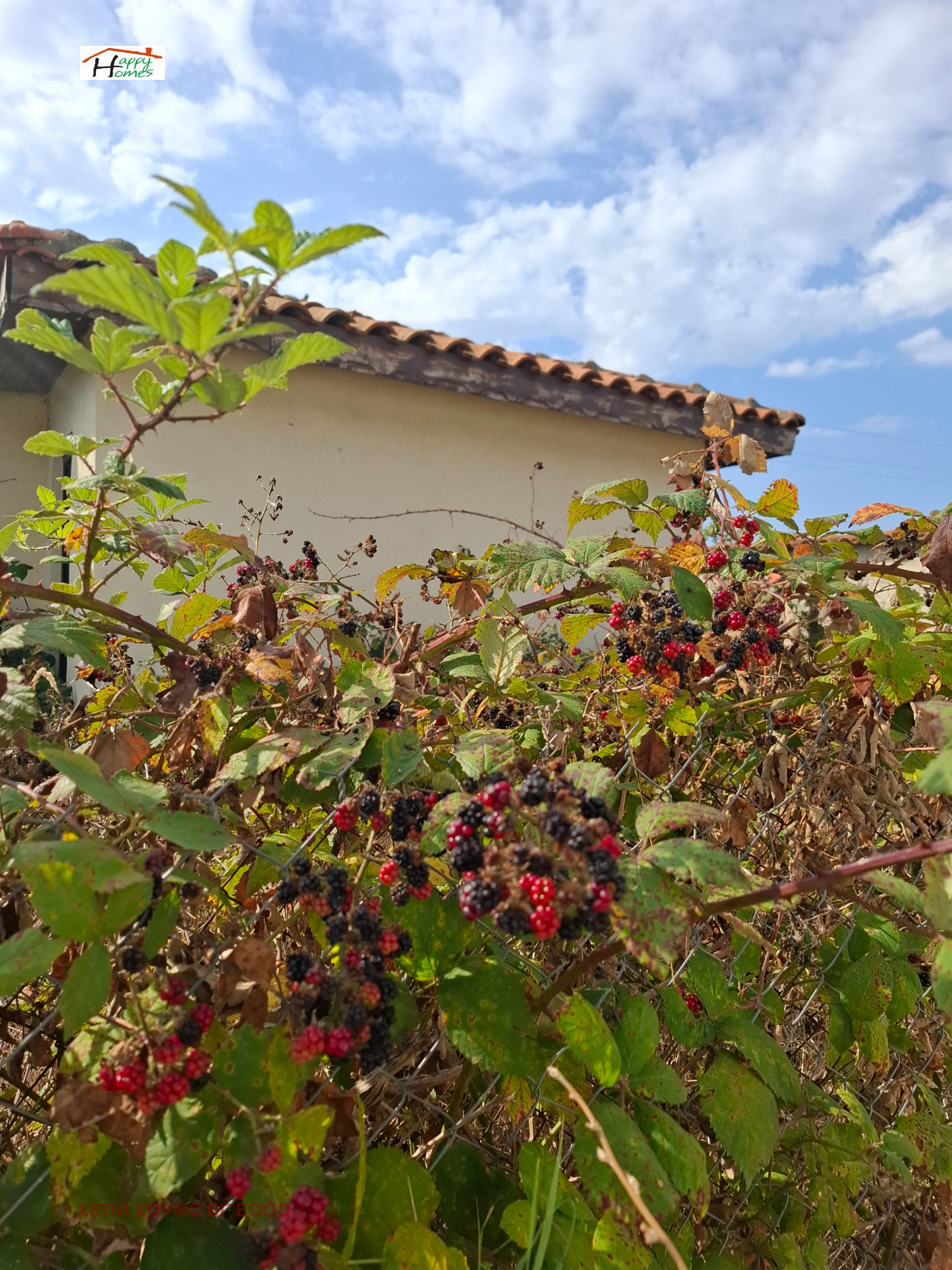 ������� ���� | Imot.bg � ����������� 14