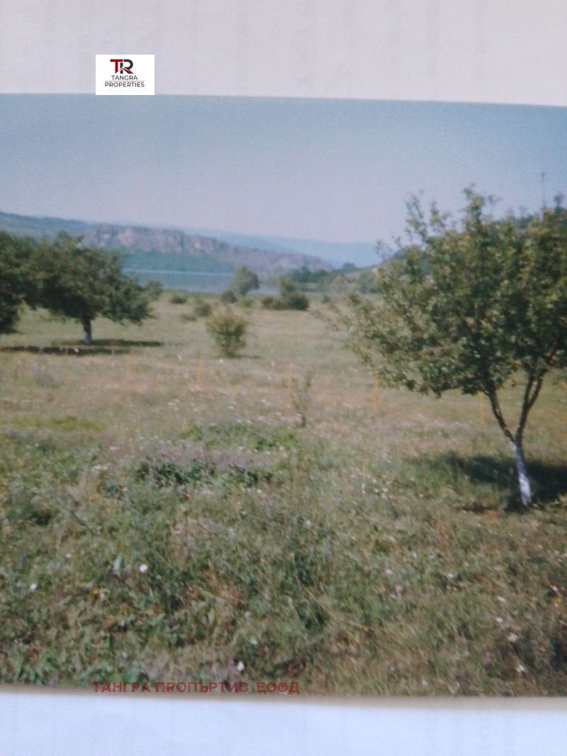 À venda  Terra Região Pernik , Kovatchevci , 16.5 tudo bem | 99164369 - imagem [4]