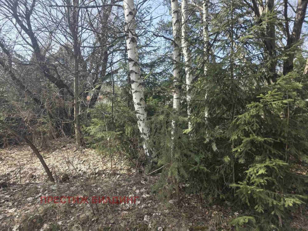 Продава ПАРЦЕЛ, в.з.Ярема, област София област, снимка 2 - Парцели - 53709592