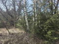 Продава ПАРЦЕЛ, в.з.Ярема, област София област, снимка 2