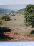 Продава ЗЕМЕДЕЛСКА ЗЕМЯ, с. Ковачевци, област Перник, снимка 2