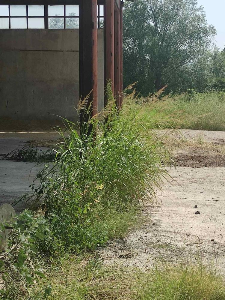������� ����. ��������� | Imot.bg � ����������� 15
