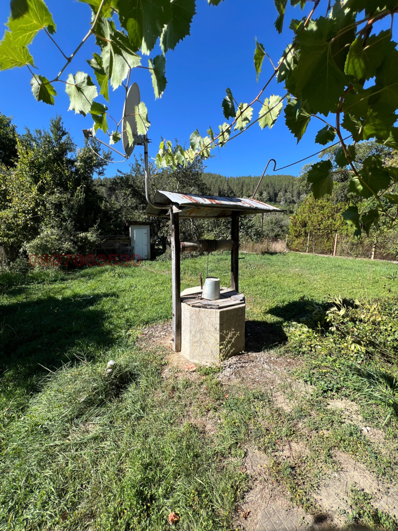 Продава КЪЩА, с. Дивля, област Перник, снимка 2 - Къщи - 52779142