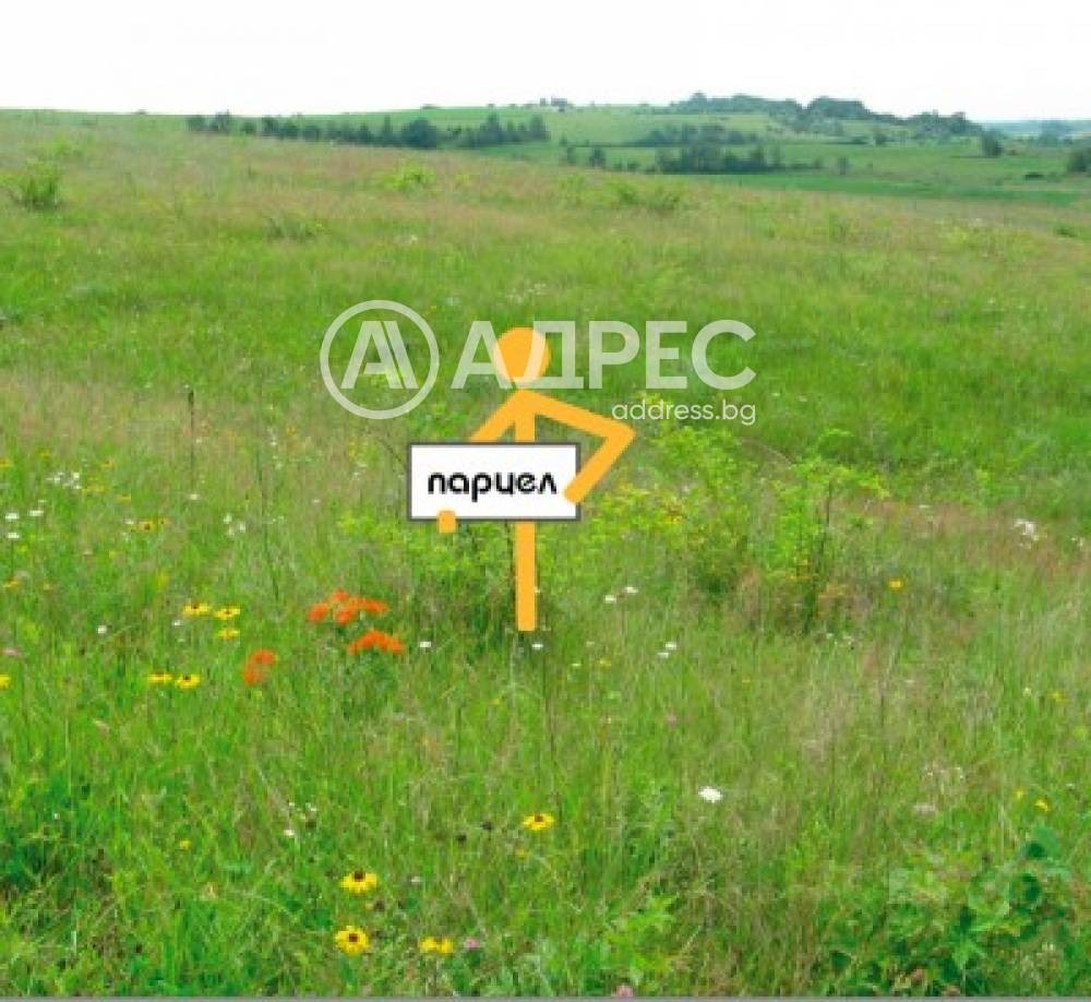 Продава ЗЕМЕДЕЛСКА ЗЕМЯ, гр. Перущица, област Пловдив, снимка 2 - Земеделска земя - 54299298