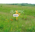 Продава ЗЕМЕДЕЛСКА ЗЕМЯ, гр. Перущица, област Пловдив, снимка 2