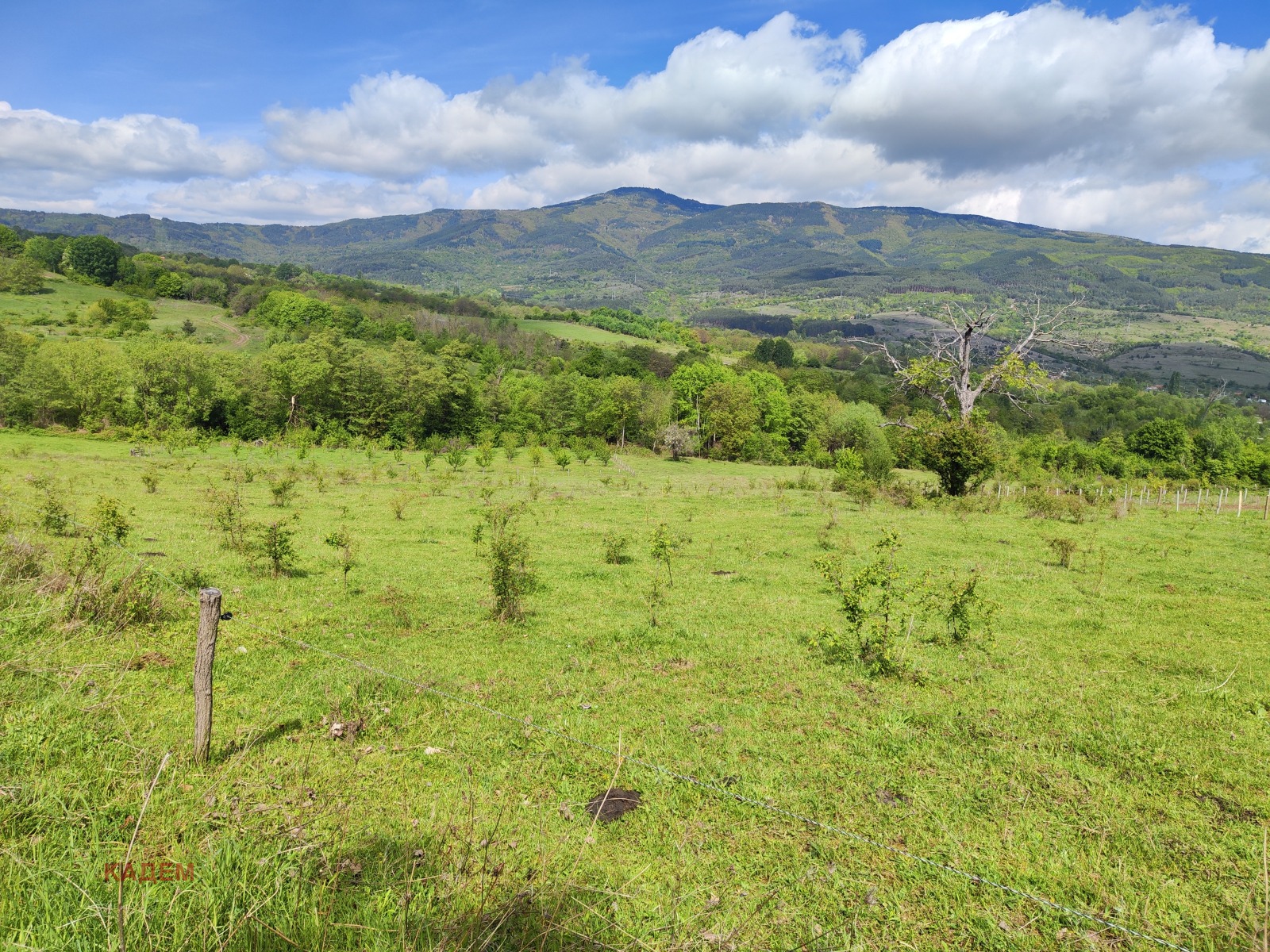 ������� ������ | Imot.bg � ����������� 1