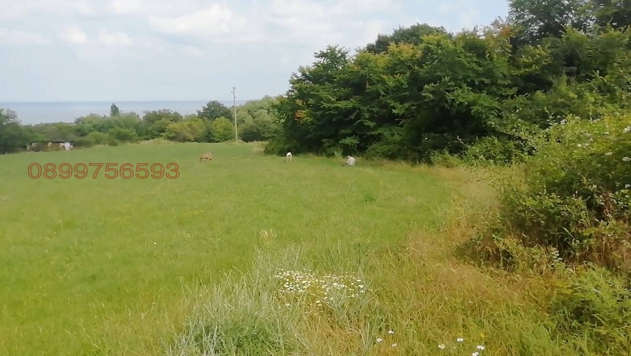 Продава ПАРЦЕЛ | Imot.bg — изображение 3