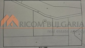 ����� ������� ������,�. ������, ������ �����