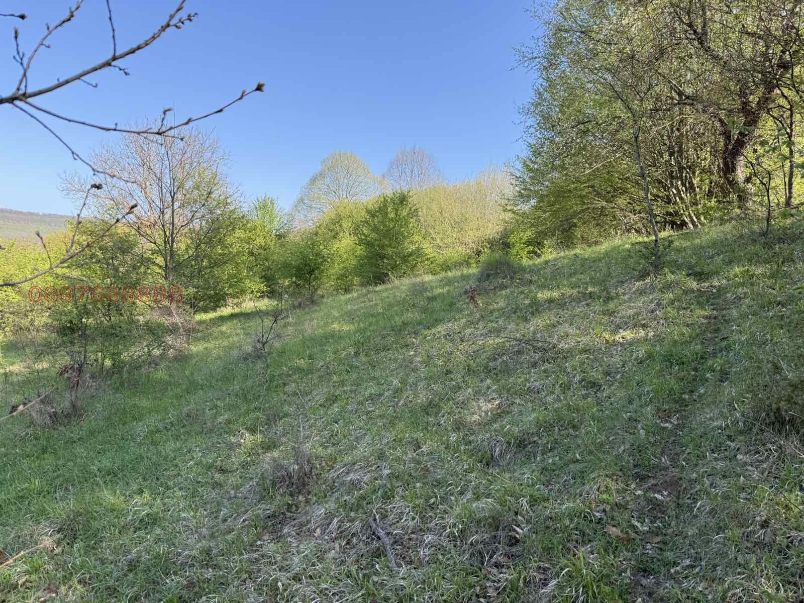 Продава ПАРЦЕЛ, с. Долище, област Варна, снимка 7 - Парцели - 56129137
