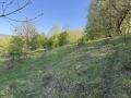 Продава ПАРЦЕЛ, с. Долище, област Варна, снимка 7