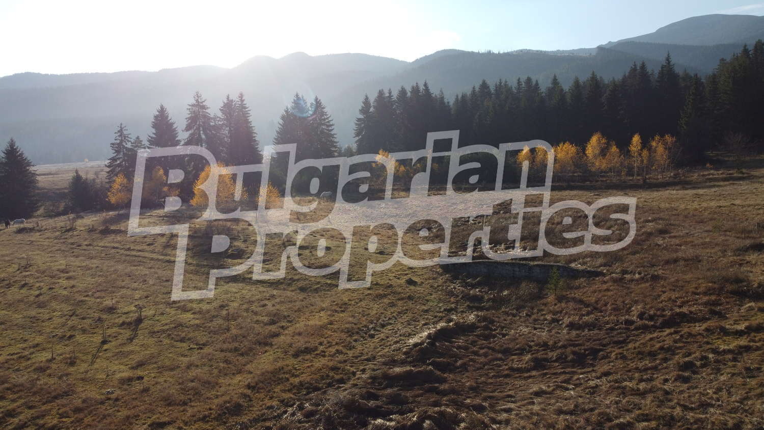 Продава ПАРЦЕЛ | Imot.bg — изображение 5