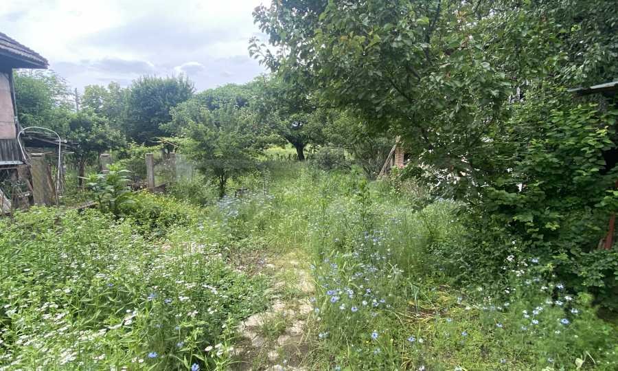 Продава КЪЩА, гр. Дунавци, област Видин, снимка 13 - Къщи - 56622337