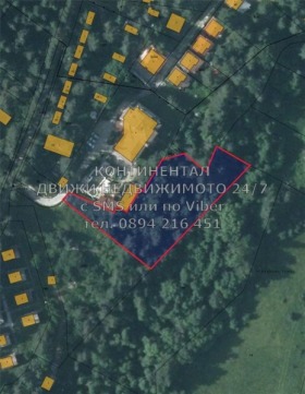 Plot m-t Tsigov chark, region Pazardzhik