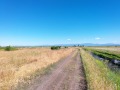Продава  Земеделска земя област Пловдив , с. Голям чардак , 62 дка | 40724858 - изображение [2]