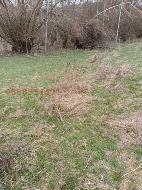 ������ ������� ������