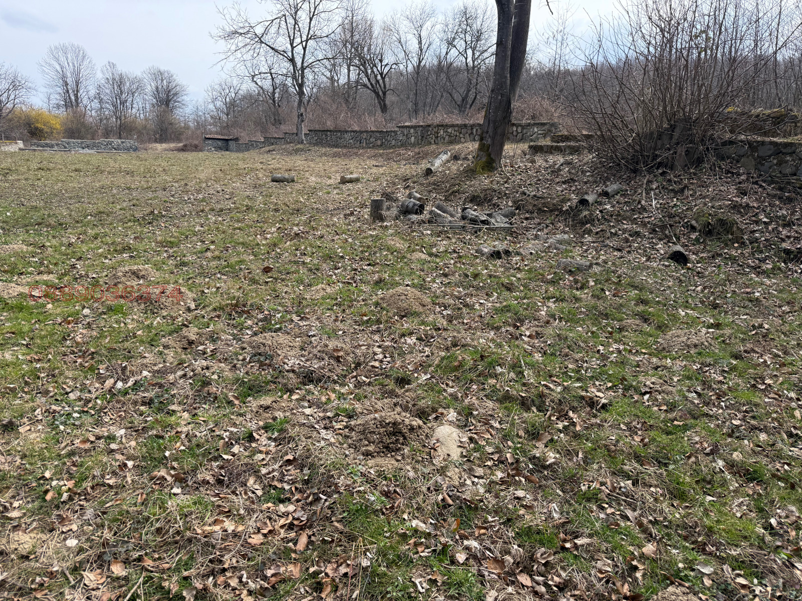 Продава ПАРЦЕЛ, гр. Берковица, област Монтана, снимка 6 - Парцели - 53924964