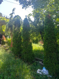 Продава ВИЛА, гр. Перник, Калкас, снимка 2