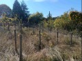 Продава ПАРЦЕЛ, гр. Варна, м-т Боровец - север, снимка 2