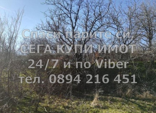 ������� ������ | Imot.bg � ����������� 6