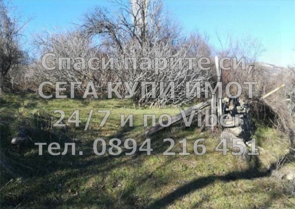 ������� ������ | Imot.bg � ����������� 8
