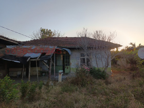 ������ ������� ����