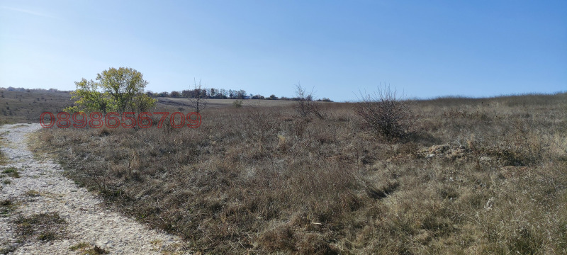 Продава ПАРЦЕЛ, с. Николаевка, област Варна, снимка 8 - Парцели - 52769917