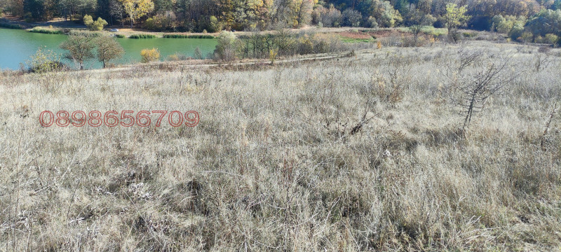 Продава ПАРЦЕЛ, с. Николаевка, област Варна, снимка 10 - Парцели - 52769917