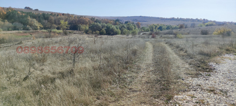 Продава ПАРЦЕЛ, с. Николаевка, област Варна, снимка 11 - Парцели - 52769917