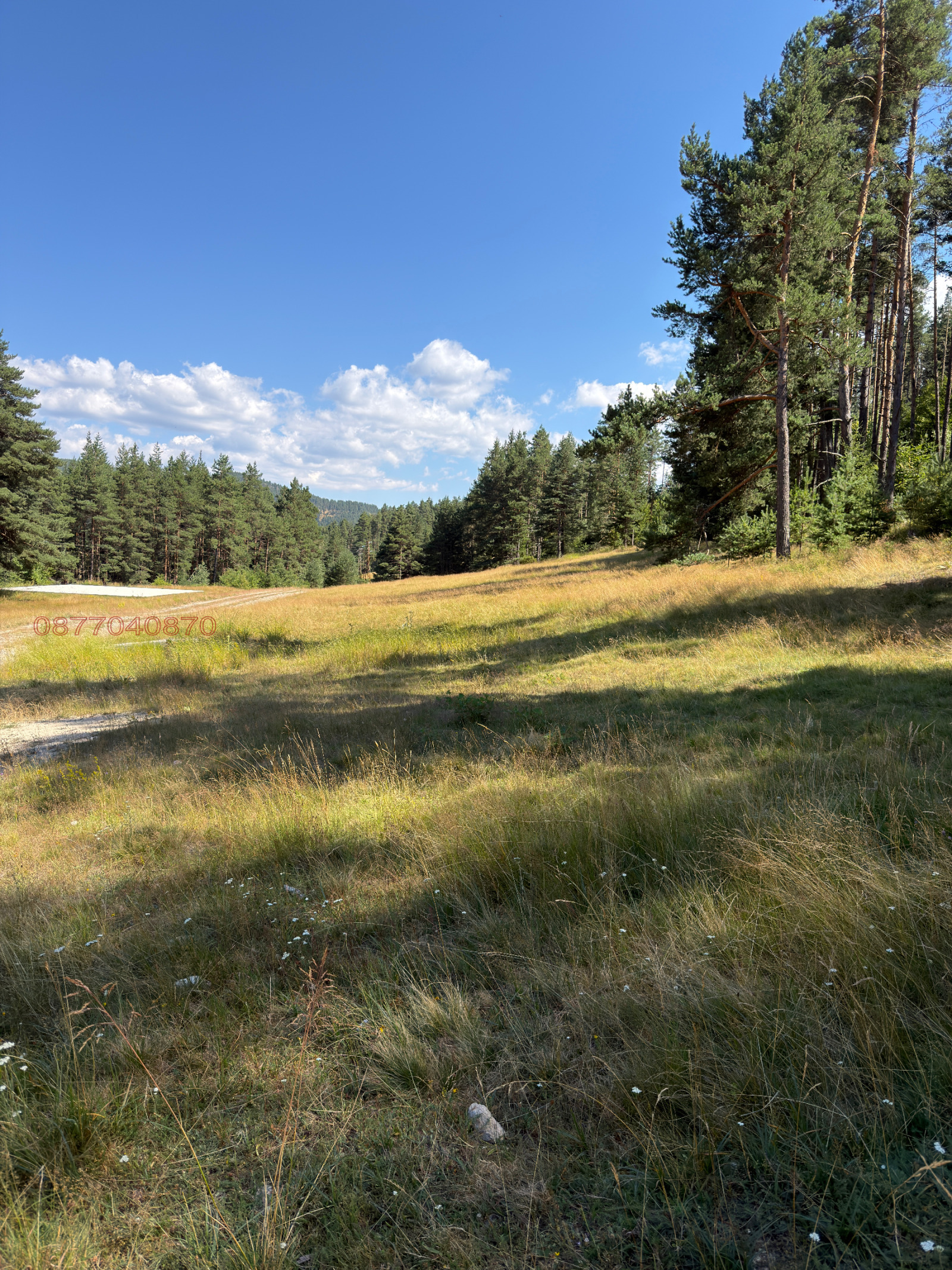 ������� ������ | Imot.bg � ����������� 5