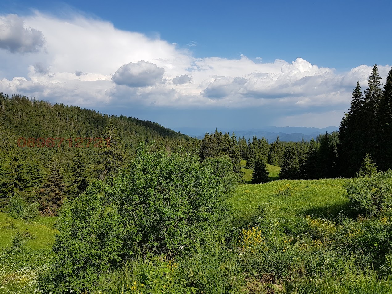 ������� 2-����� | Imot.bg � ����������� 16
