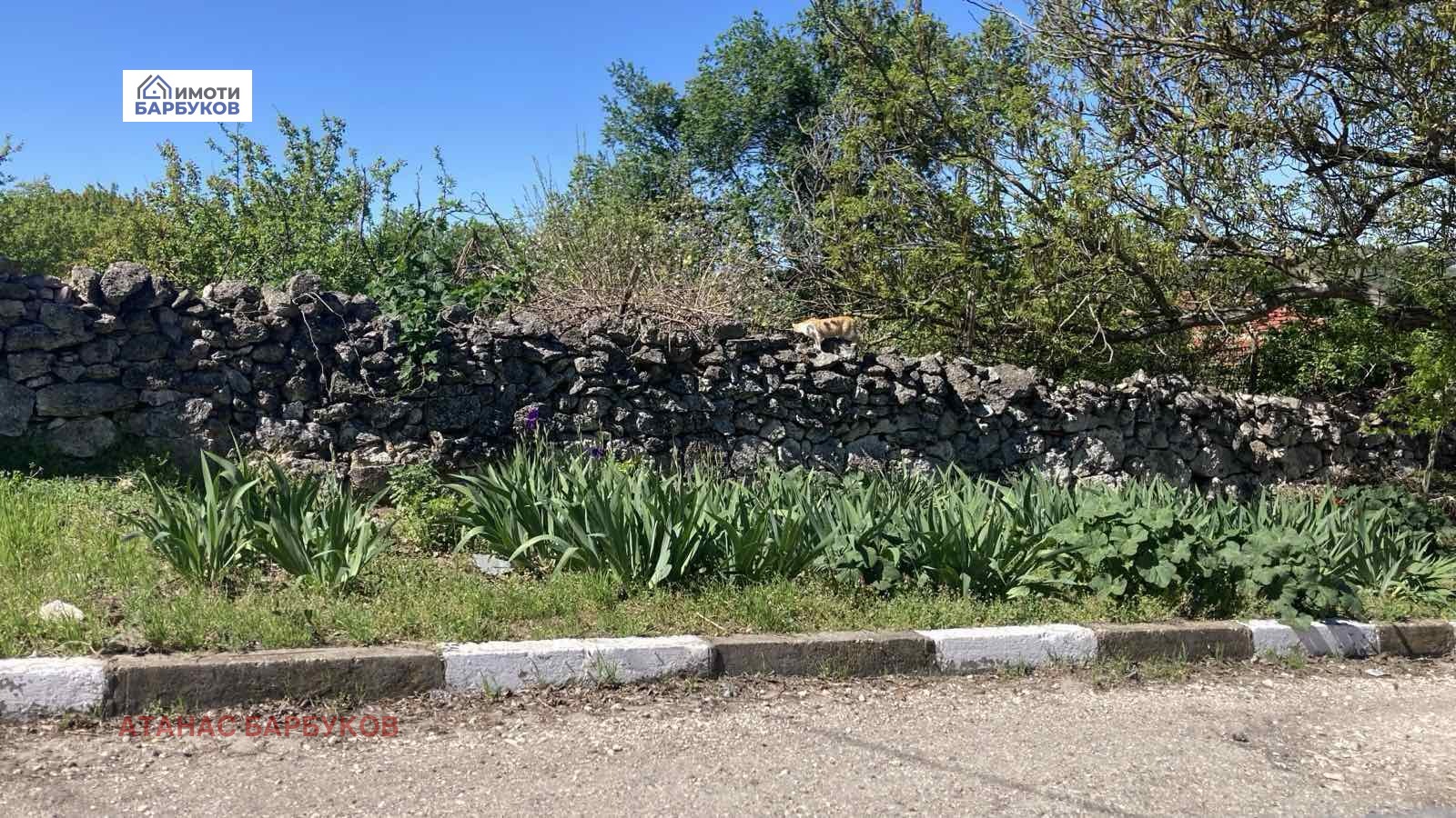 ������� ������ | Imot.bg � ����������� 1