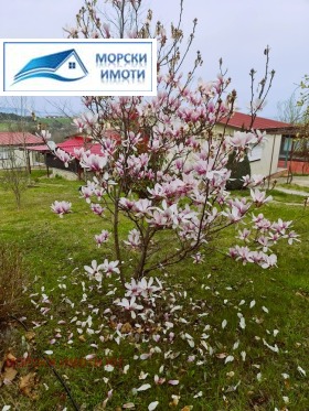   | Imot.bg    7