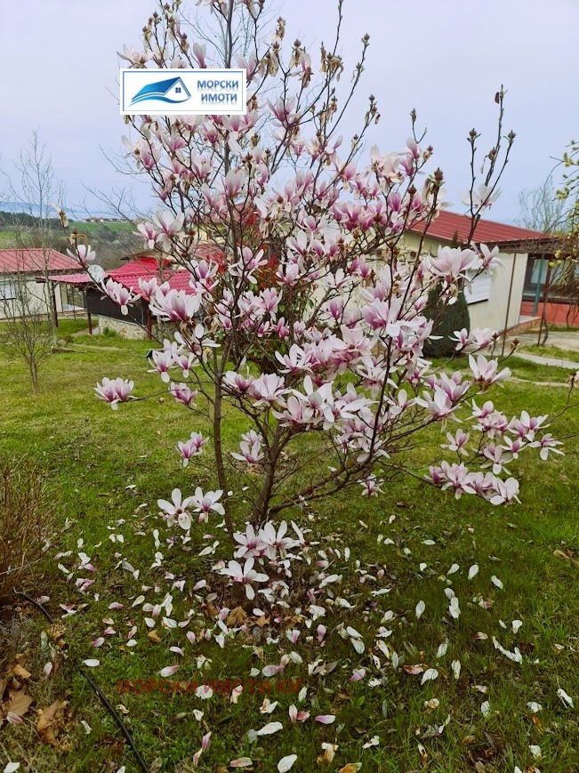 Til salg  Villa region Burgas , Lozenets , 365 kvm | 40698534 - billede [7]