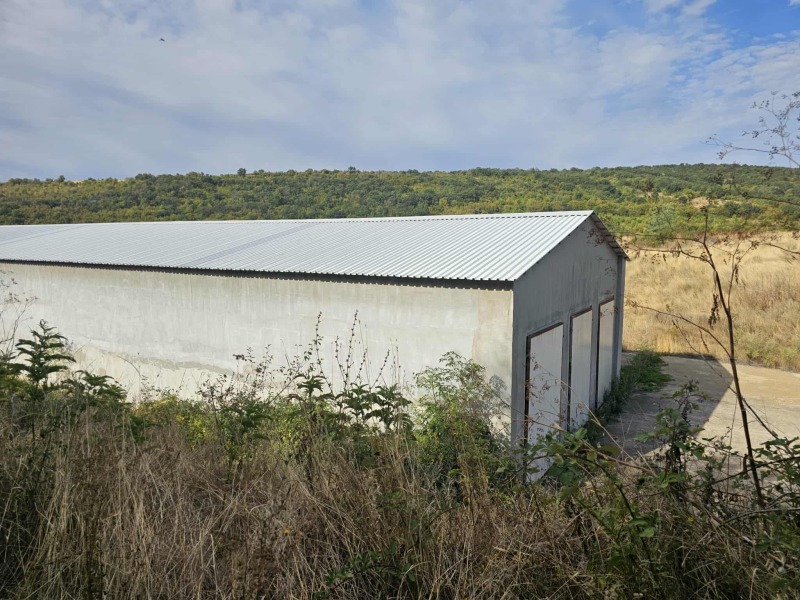 For Sale  Plot region Stara Zagora  , Lyulyak , 51896 sq.m | 48410664 - image [4]