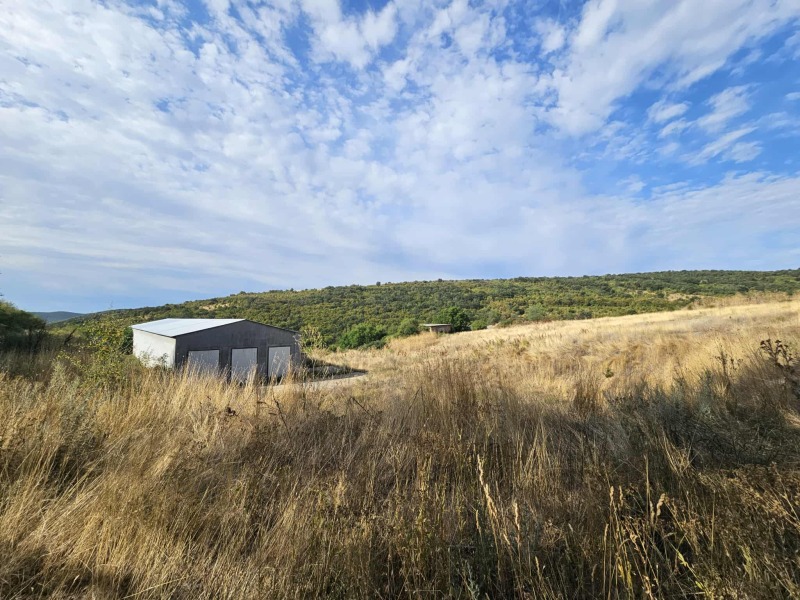 For Sale  Plot region Stara Zagora  , Lyulyak , 51896 sq.m | 48410664